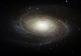 spiral galaxy.jpg